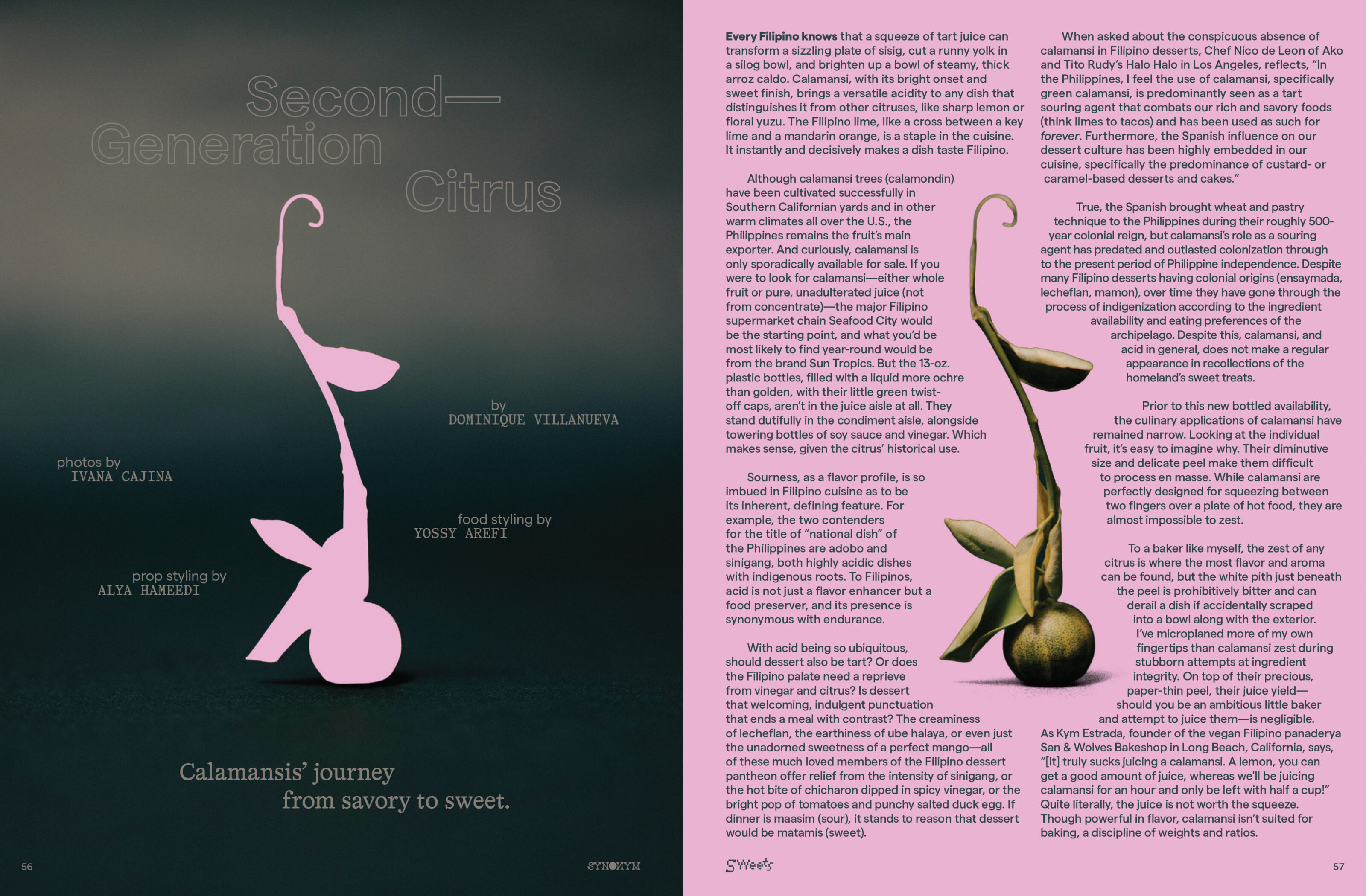 Spread 6 of 10