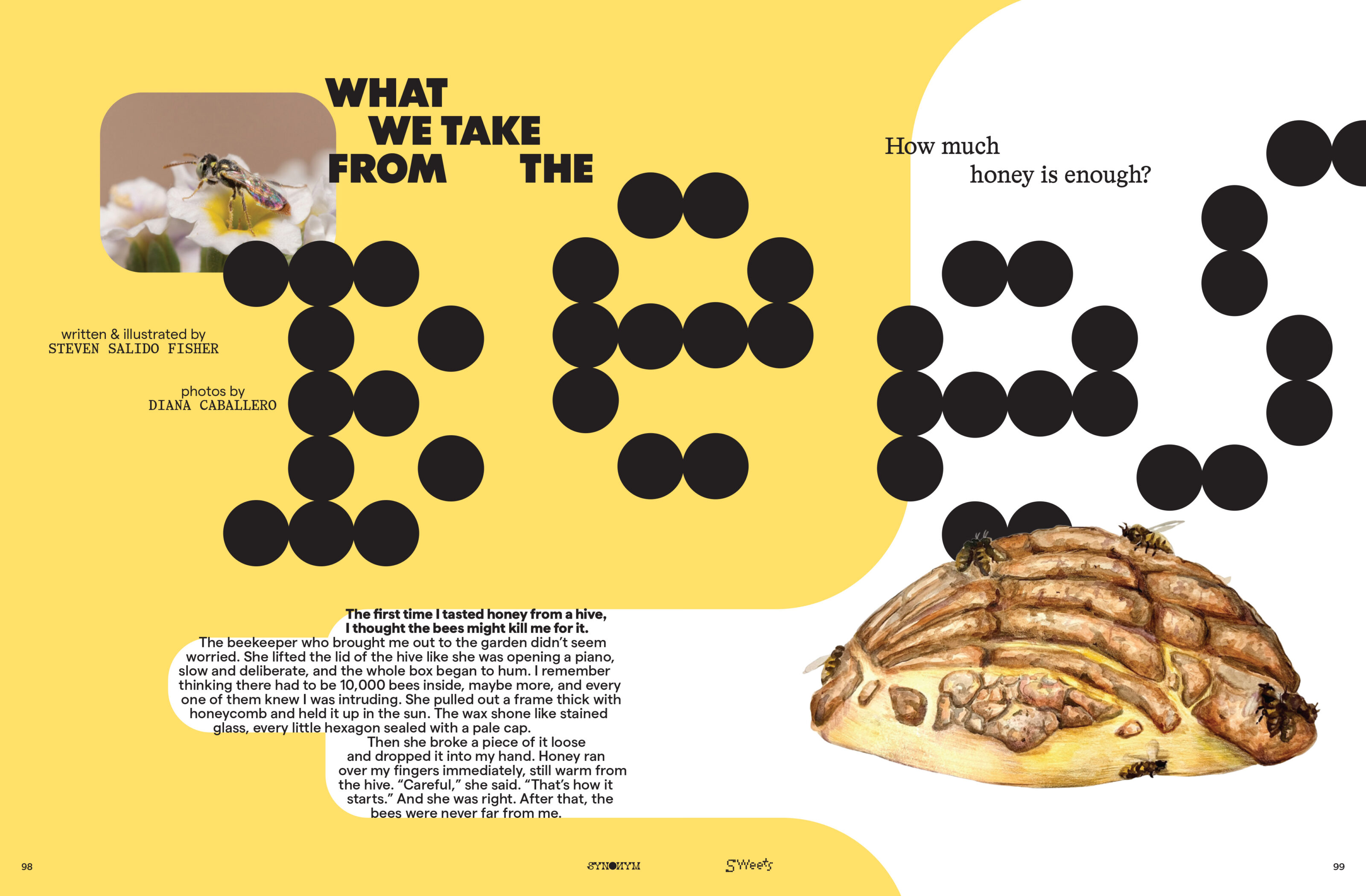 Spread 8 of 10